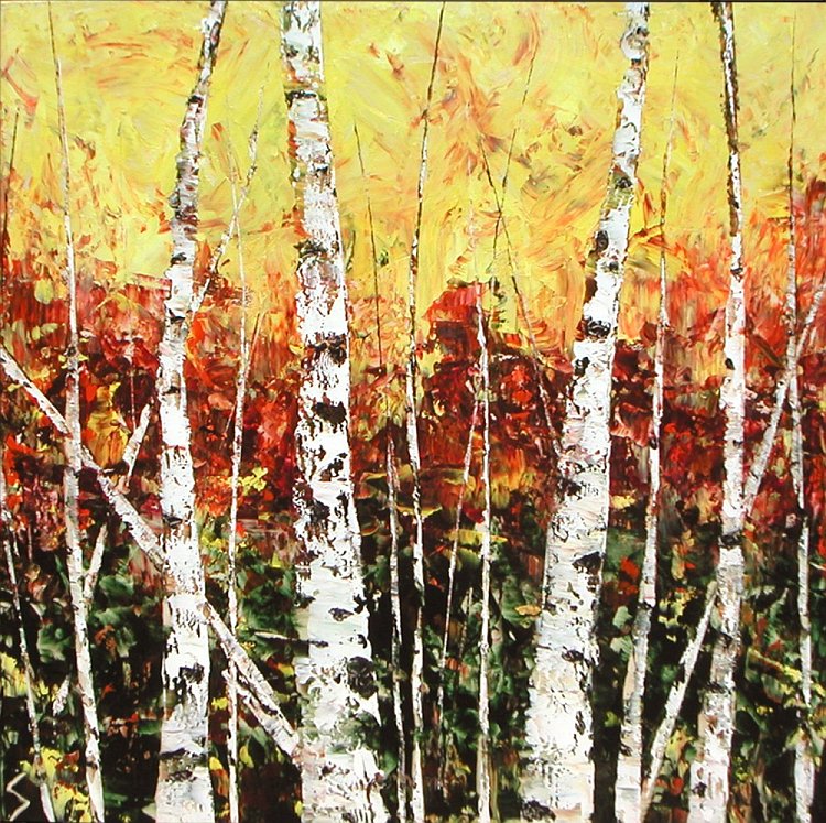AC818063636